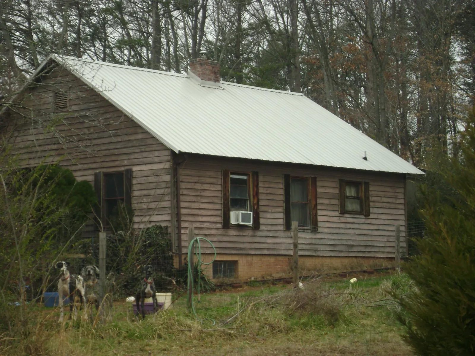 White metal roof on an old wood sided farmhouse, from a Asphalt Shingle Roof Repair job in Crapo
